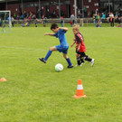 IMG_2549.jpg