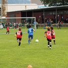 IMG_2550.jpg