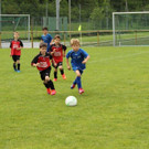IMG_2564.jpg