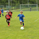 IMG_2565.jpg