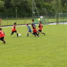 IMG_2567.jpg