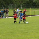 IMG_2575.jpg
