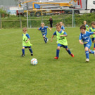 IMG_2587.jpg