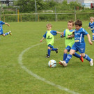 IMG_2589.jpg