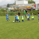 IMG_2593.jpg