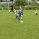 IMG_2595.jpg