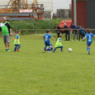 IMG_2600.jpg