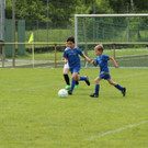 IMG_2622.jpg