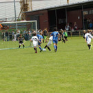 IMG_2629.jpg
