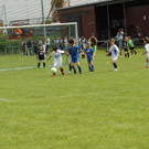 IMG_2631.jpg