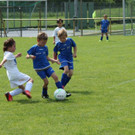 IMG_2640.jpg