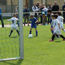 IMG_2641.jpg