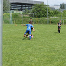 IMG_2651.jpg