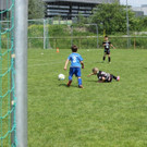 IMG_2652.jpg