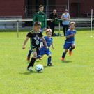 IMG_2660.jpg