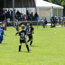 IMG_2670.jpg