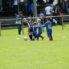 IMG_2681.jpg