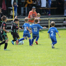 IMG_2683.jpg