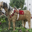 normal_22052010dultrestaaktivnews_20.jpg