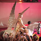 IMG _113 of 397_.JPG