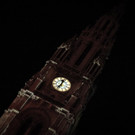 IMG _267 of 397_.JPG