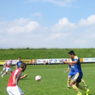 IMG_5892_bearb-Medium.jpg