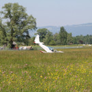 IMG_10401.jpg