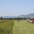 IMG_10411.jpg
