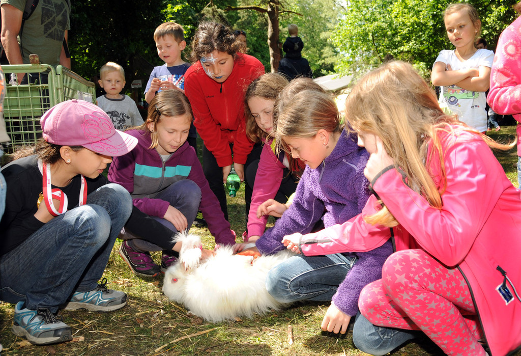 a Tierausstellung 24-05-2014 252.jpg