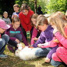 a Tierausstellung 24-05-2014 252.jpg