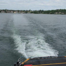 IMG_6110A.jpg
