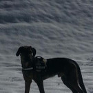 normal_IMG_0581.JPG