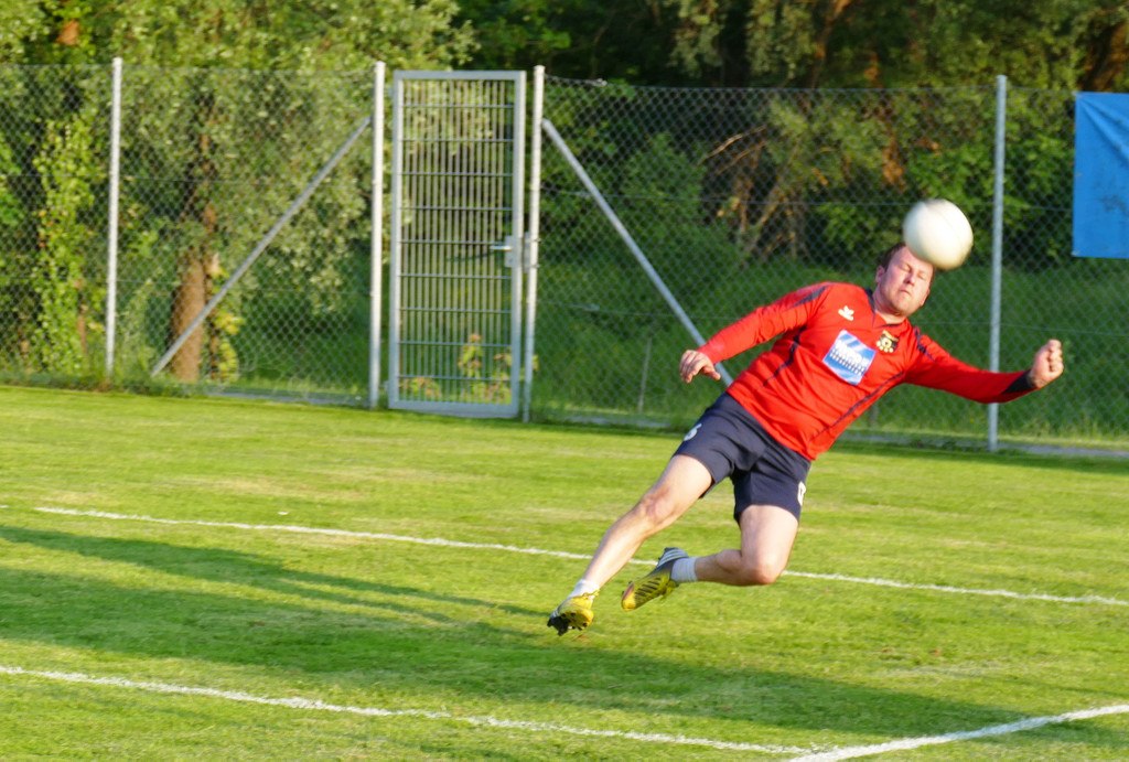 Faustball Ho__chst_b.jpg