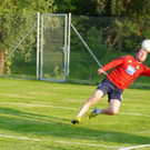 Faustball Ho__chst_b.jpg