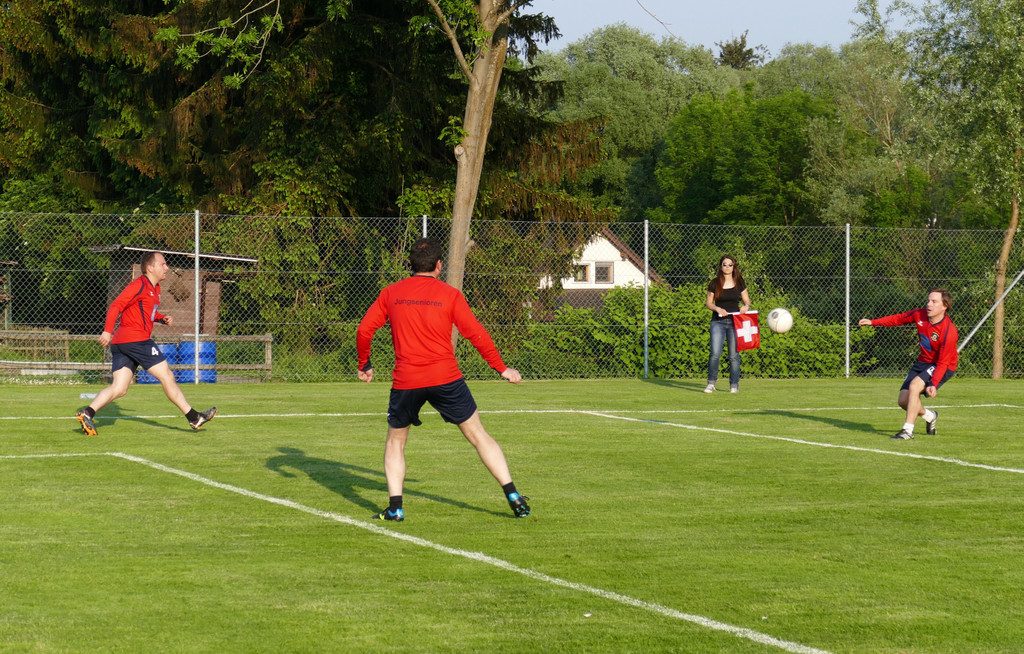 Faustball Ho__chst_d.jpg