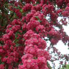 2015_05_20-00017.jpg