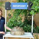 Weltschildkrötentag in Wien: Programm im Haus des Meeres