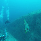 G0034179.JPG