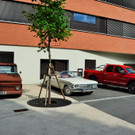 DSC_0019 _2_ _Copy__JPG-1432387801.jpg