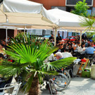 DSC_0038 _2_ _Copy__JPG-1432387896.jpg