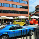 DSC_0048 _2_ _Copy__JPG-1432387957.jpg