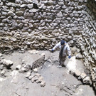 KOE_Tostnerburg Ausgrabungen abgeschlossen 20.jpg