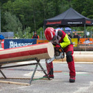 20150523_Forstarbeiter_005.jpg