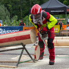 20150523_Forstarbeiter_006.jpg