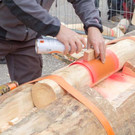 20150523_Forstarbeiter_011.jpg