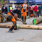 20150523_Forstarbeiter_014.jpg