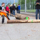 20150523_Forstarbeiter_015.jpg