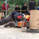 20150523_Forstarbeiter_017.jpg