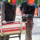 20150523_Forstarbeiter_022.jpg