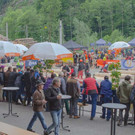 20150523_Forstarbeiter_025.jpg